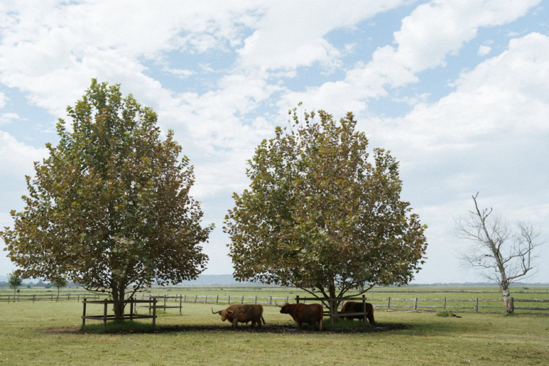 Hunter and Kelly Terrara House wedding photography-5