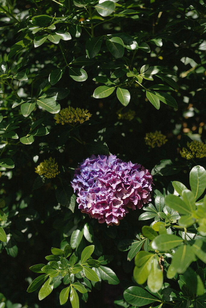 ImmyandCameronSneakPeak-HelloMay-3