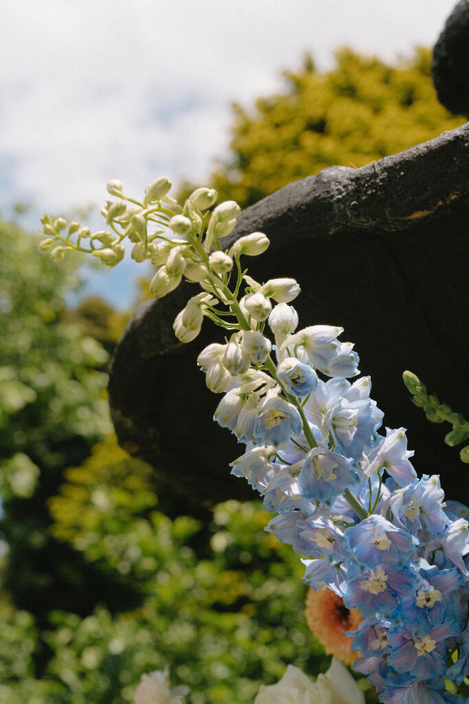 ImmyandCameronSneakPeak-HelloMay-9