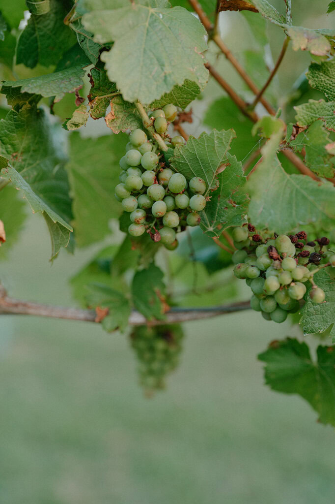 Jade and Luke Bendooley Book Barn-203