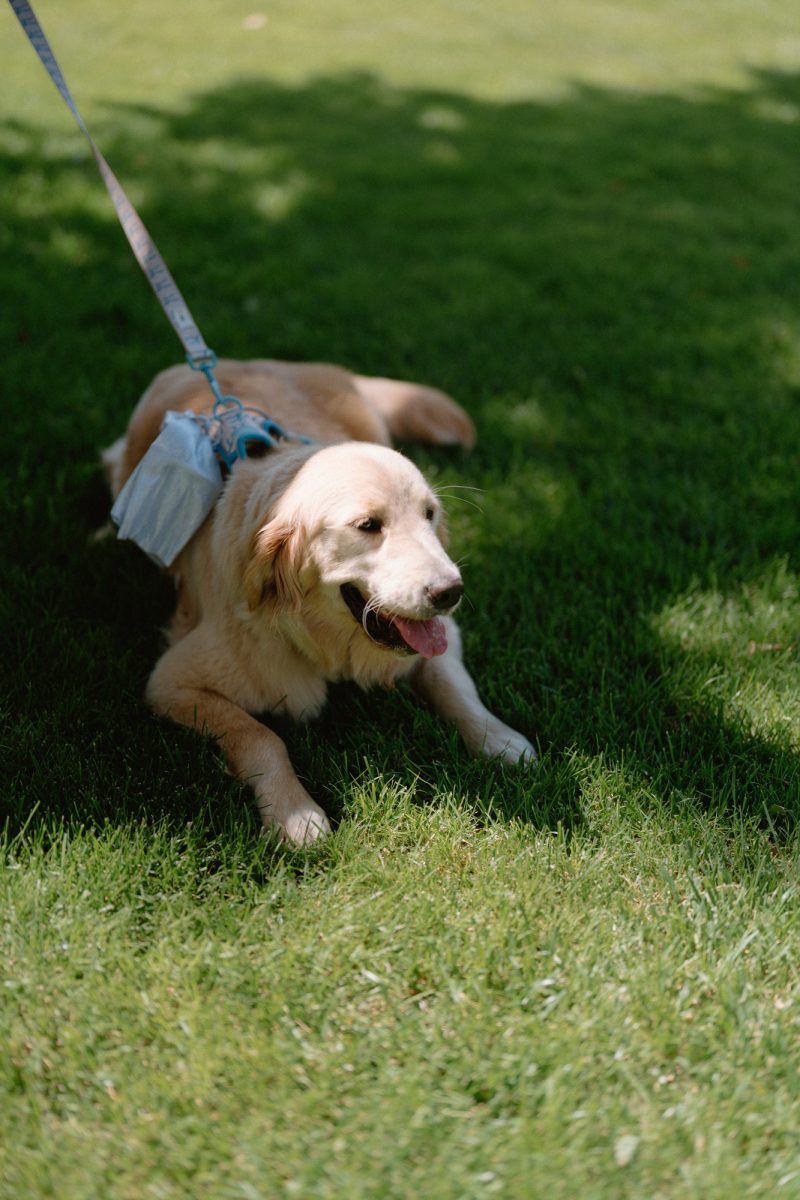 Jade and Luke Bendooley Book Barn-57