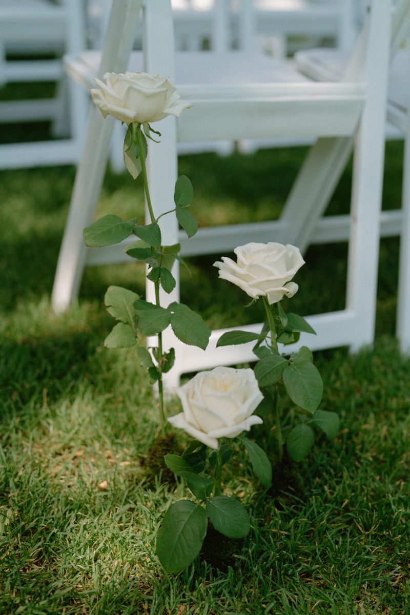 Jade and Luke Bendooley Book Barn-68