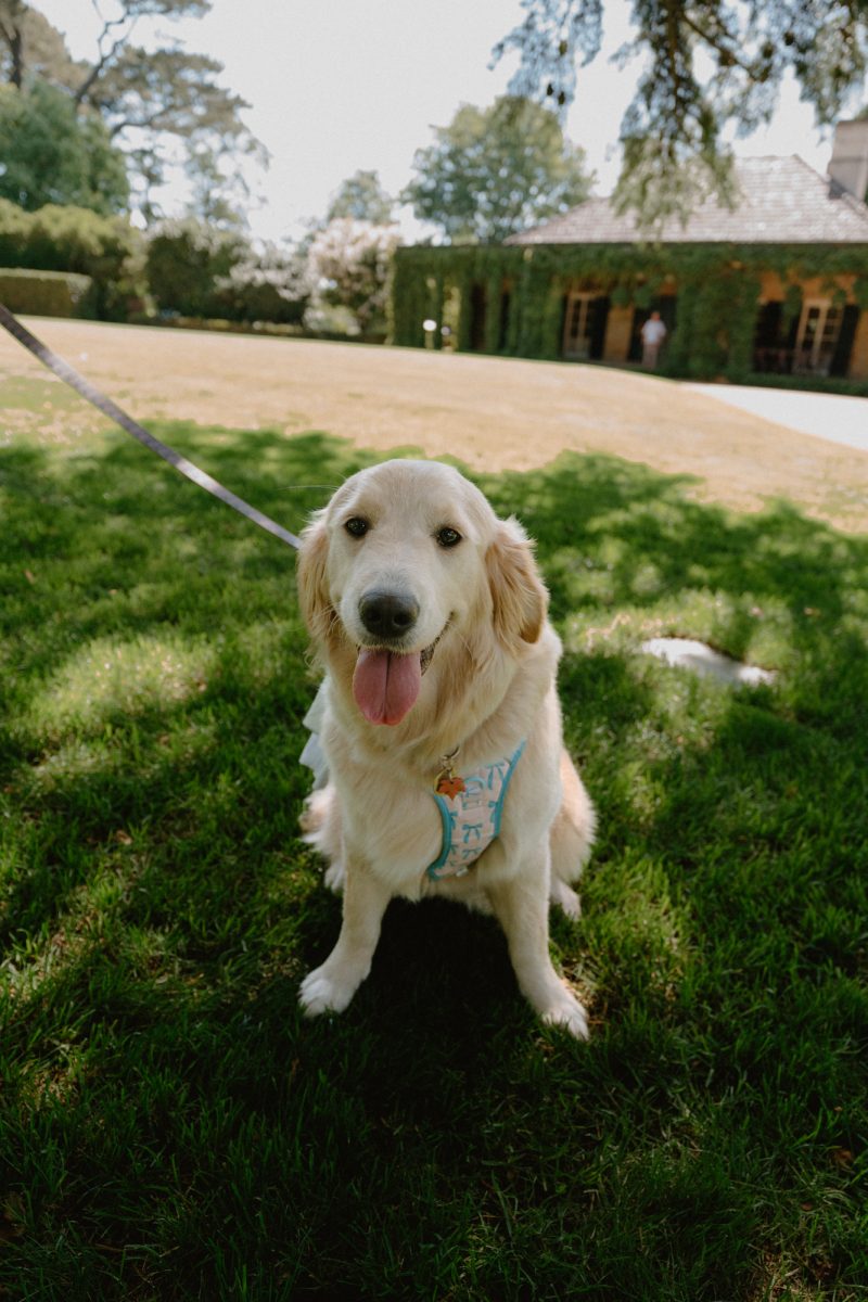 Jade and Luke Bendooley Book Barn-69