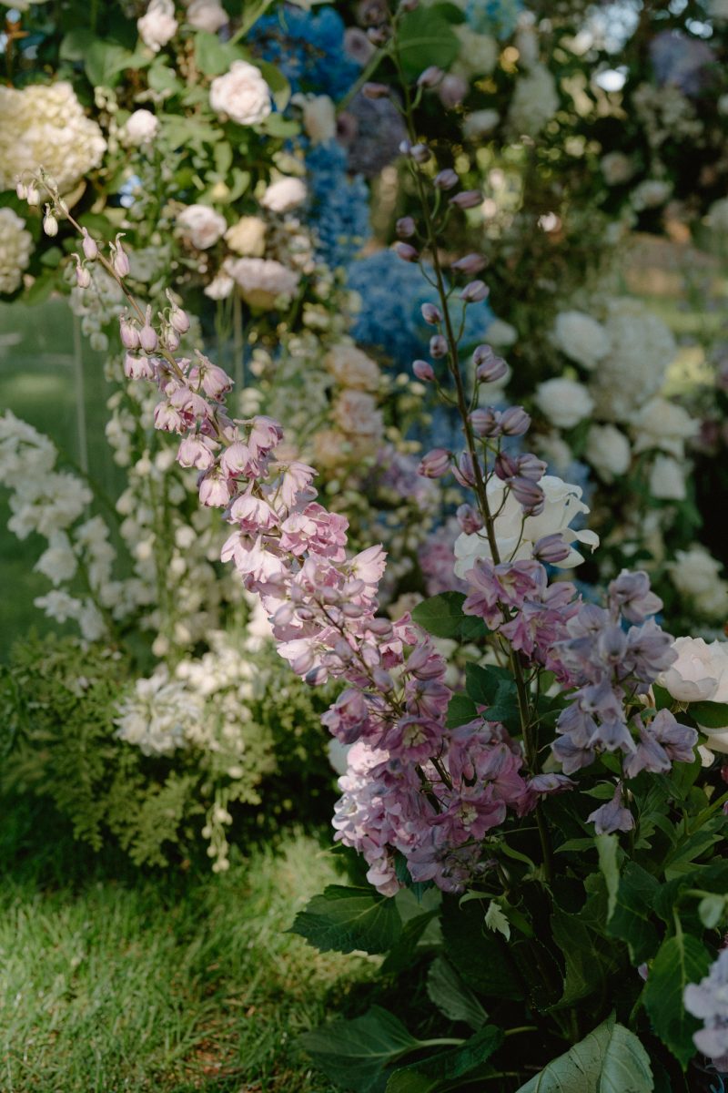 Jade and Luke Bendooley Book Barn-93