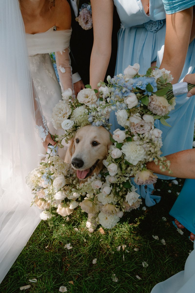 Jade and Luke Bendooley Book Barn-97