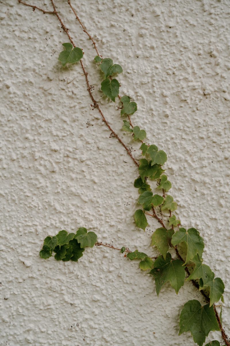 Joanne and Lachlan Wedding Small-1