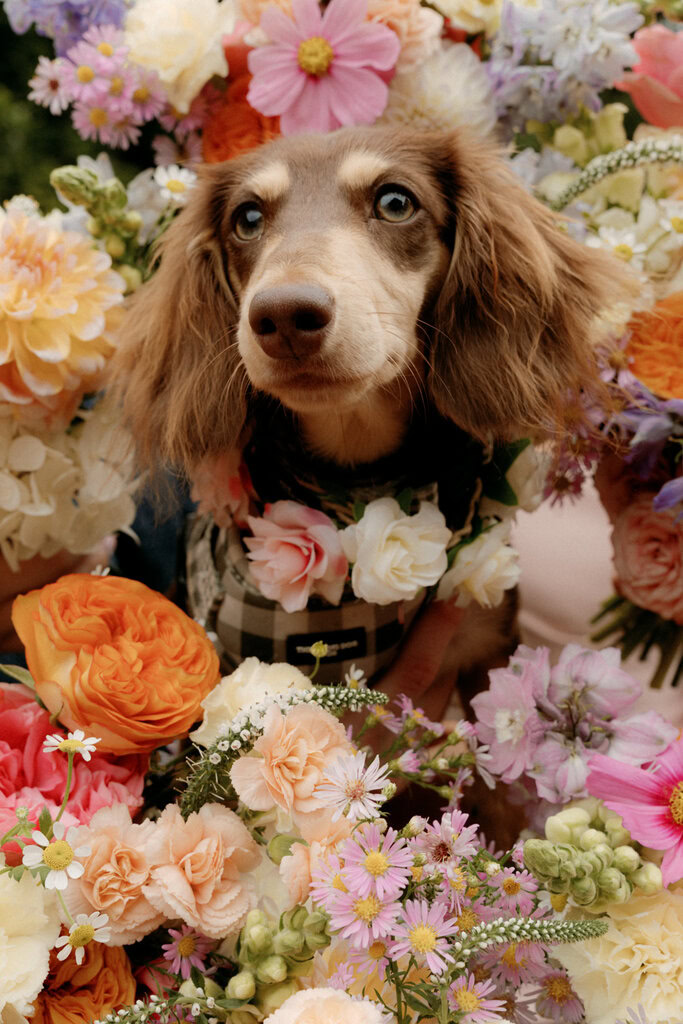 Joanne and Lachlan Wedding Small-117