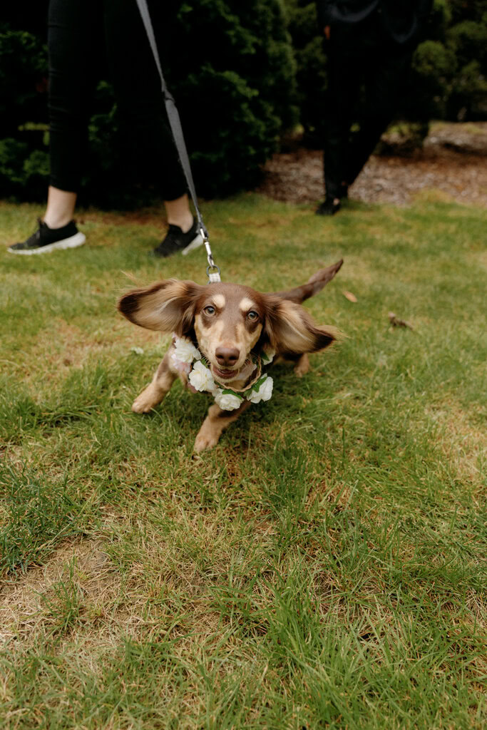 Joanne and Lachlan Wedding Small-91
