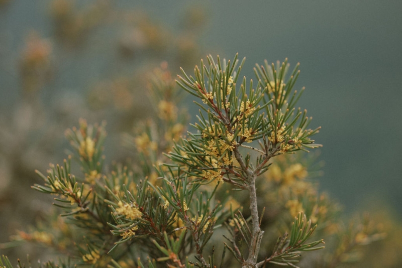 KAVITHAANDKAUSTAUBPortraits-111