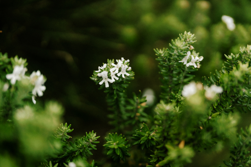 Lauren and Brayden Portraits V2 Small-58