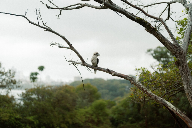 Lauren and Daniel Small-107