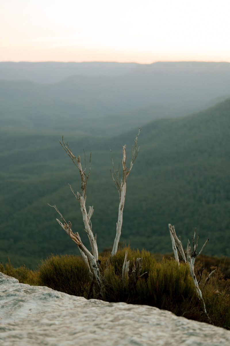 Machiel  Marcia Portraits Resize-100