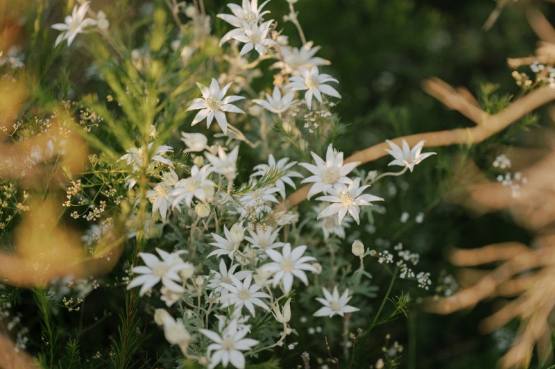 MeeraVipulportraits-179