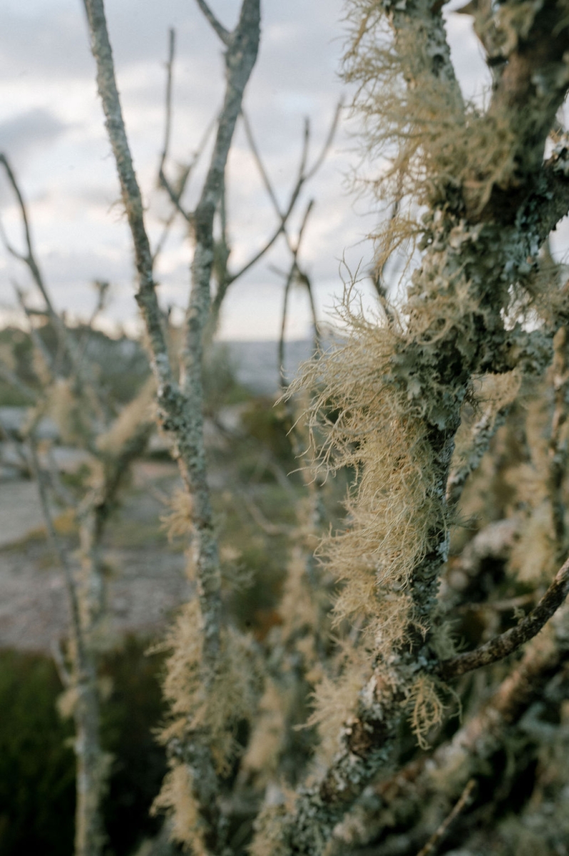 MeeraVipulportraits-186