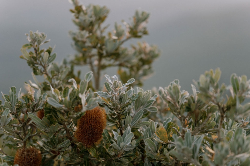 MeeraVipulportraits-295