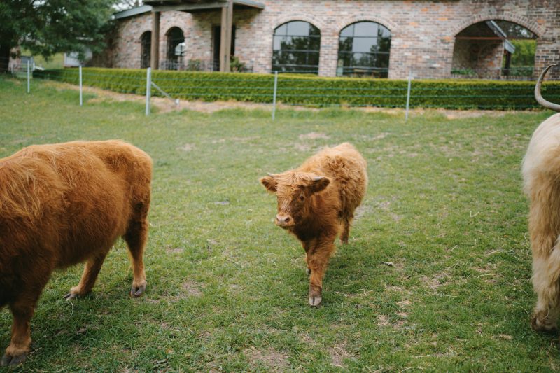Melody and Bowrun Wedding Sneak Peek SMALL-119