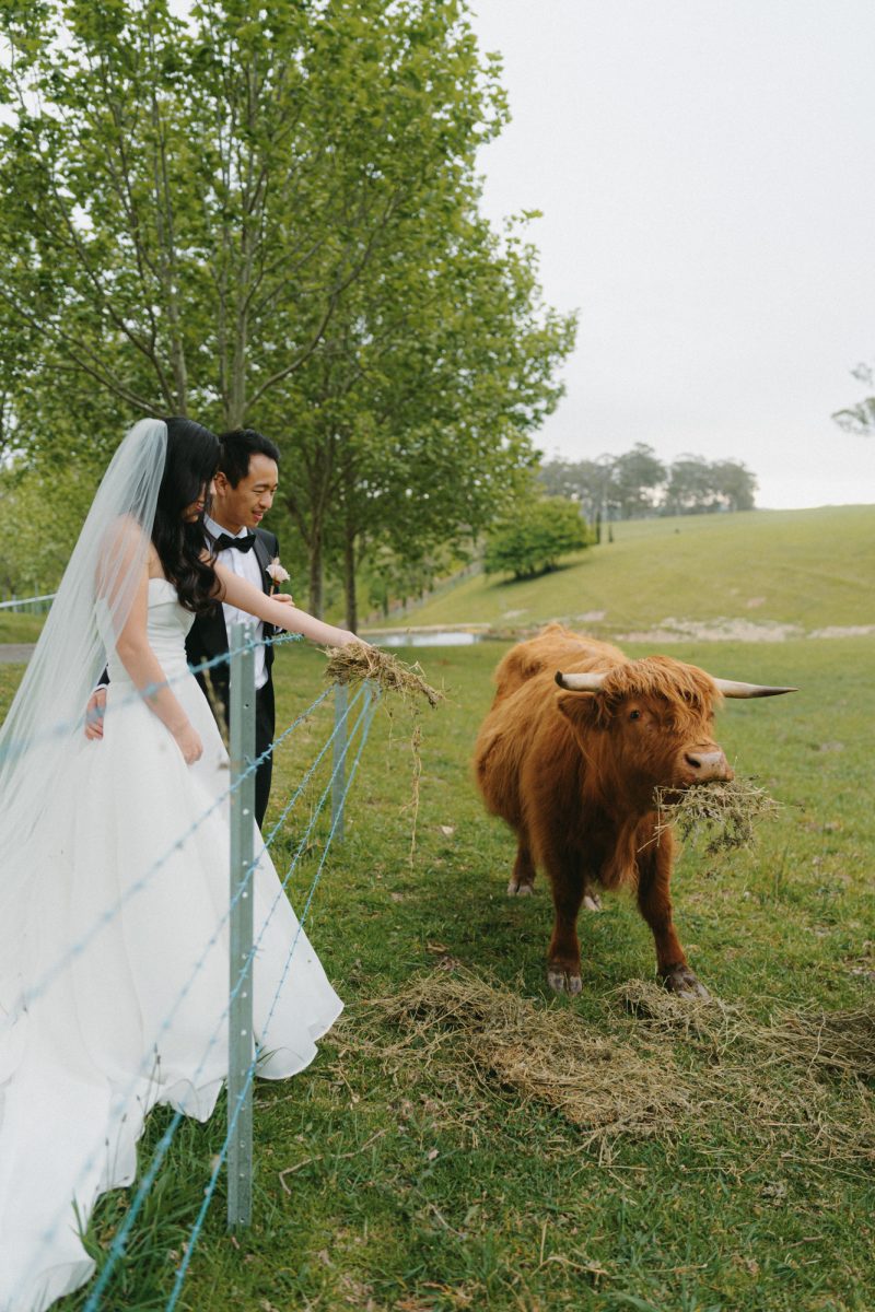 Melody and Bowrun Wedding Sneak Peek SMALL-120