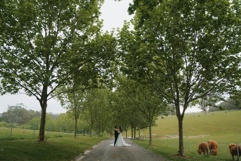 Melody and Bowrun Wedding Sneak Peek SMALL-132