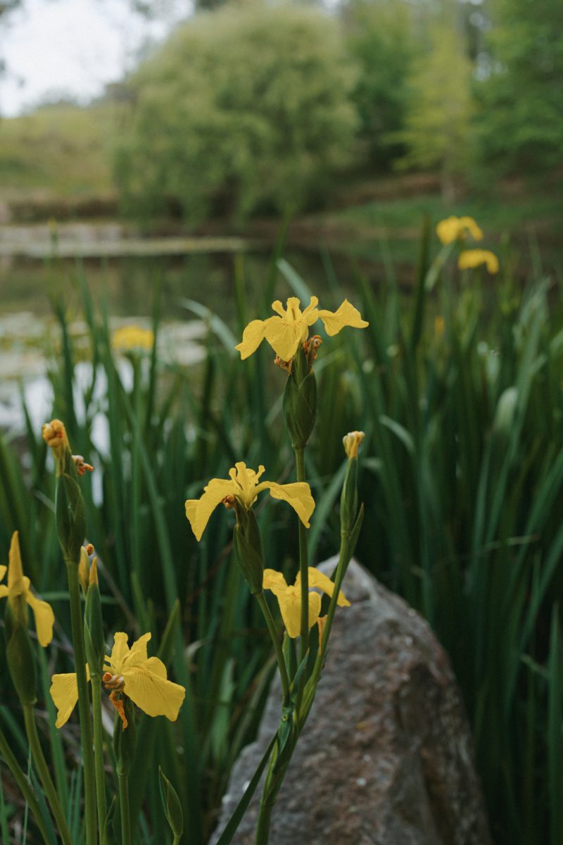 Melody and Bowrun Wedding Sneak Peek SMALL-149