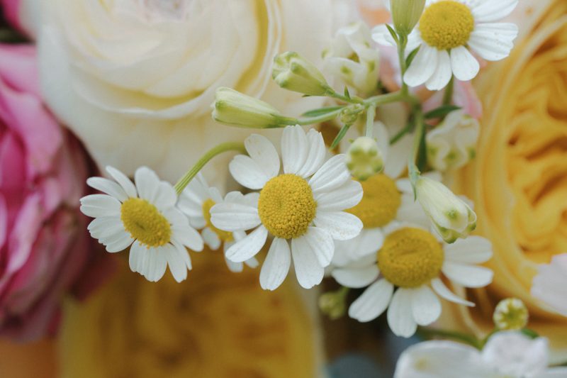 Melody and Bowrun Wedding Sneak Peek SMALL-33