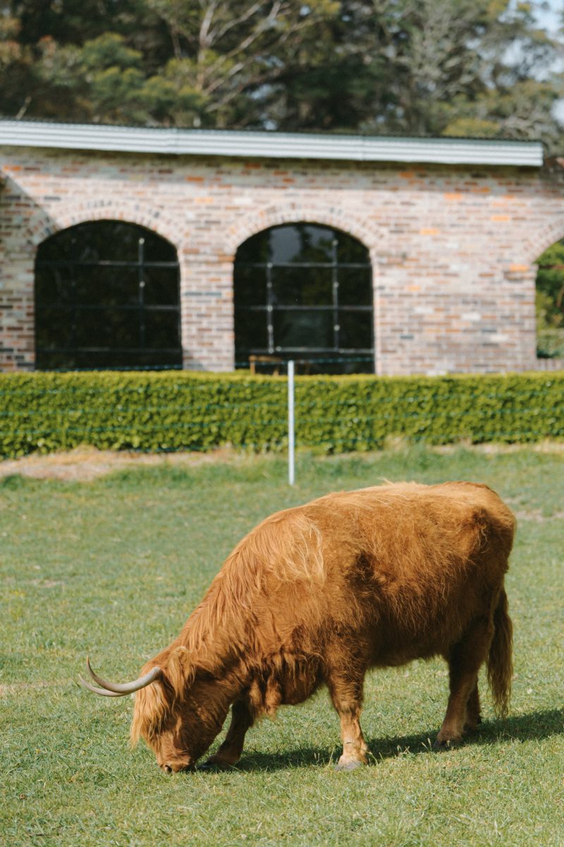 Melody and Bowrun Wedding Sneak Peek SMALL-90