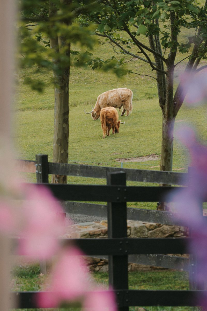 Melody and Bowrun Wedding Sneak Peek SMALL-93