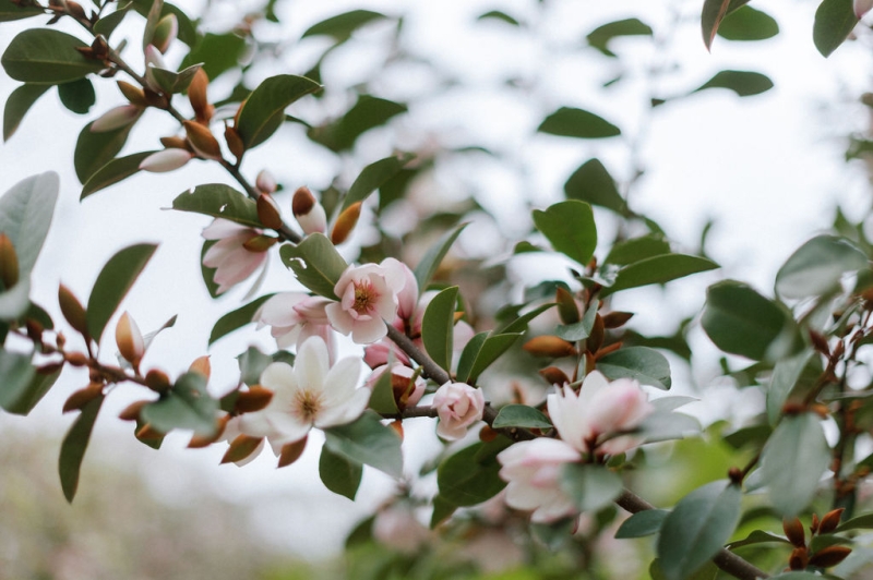 NatashaandAlexPortraits-225