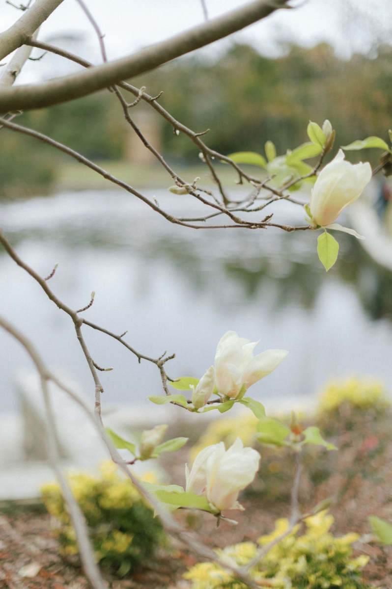 NatashaandAlexPortraits-363