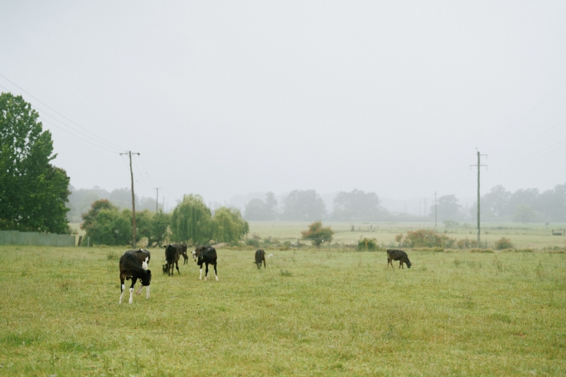 Nathlene and Daniel Wedding Small-159