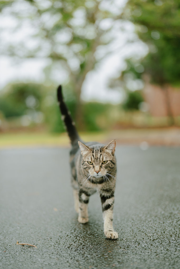 Nathlene and Daniel Wedding Small-27