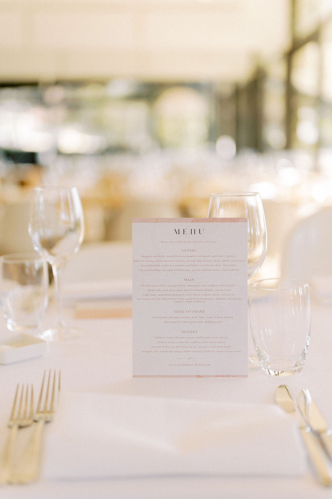 NavrozandMahdhavWedding-2