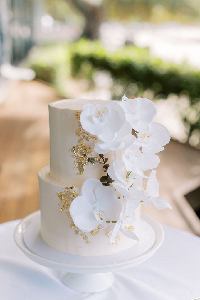 NavrozandMahdhavWedding-210