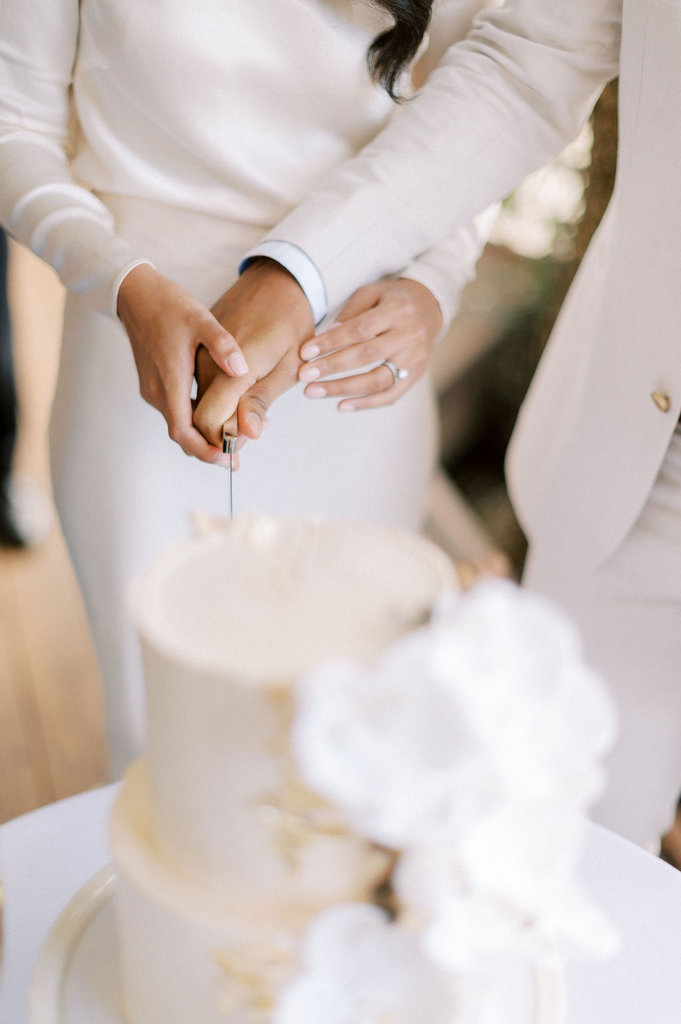 NavrozandMahdhavWedding-248