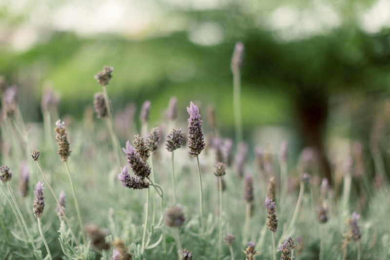 Patrecia and Byron Wedding-1