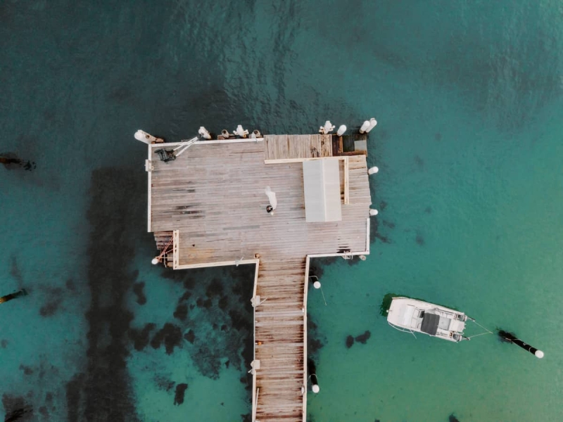 Patricia and Adam Wedding -182