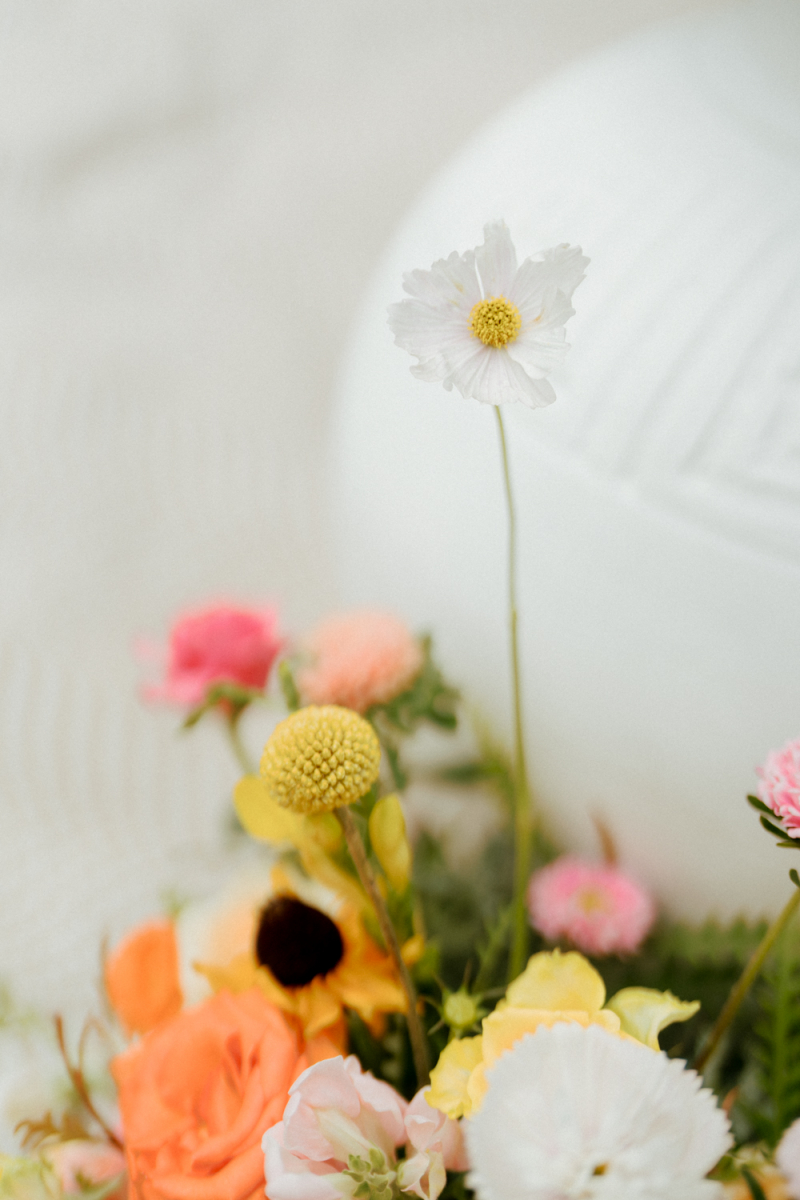 Ramona and Ray Bebeah Farm New-30