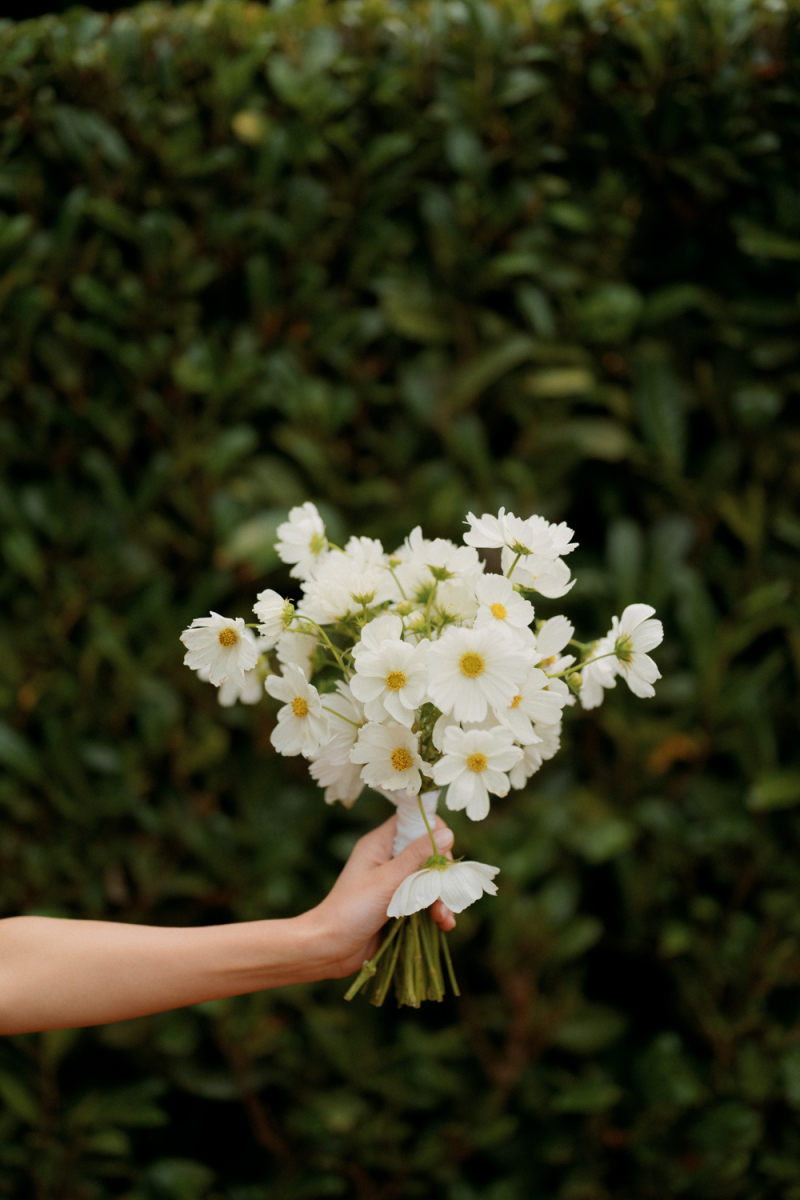 Rebecca and Edward Film Photography Bendooley Estate Book Barn-125