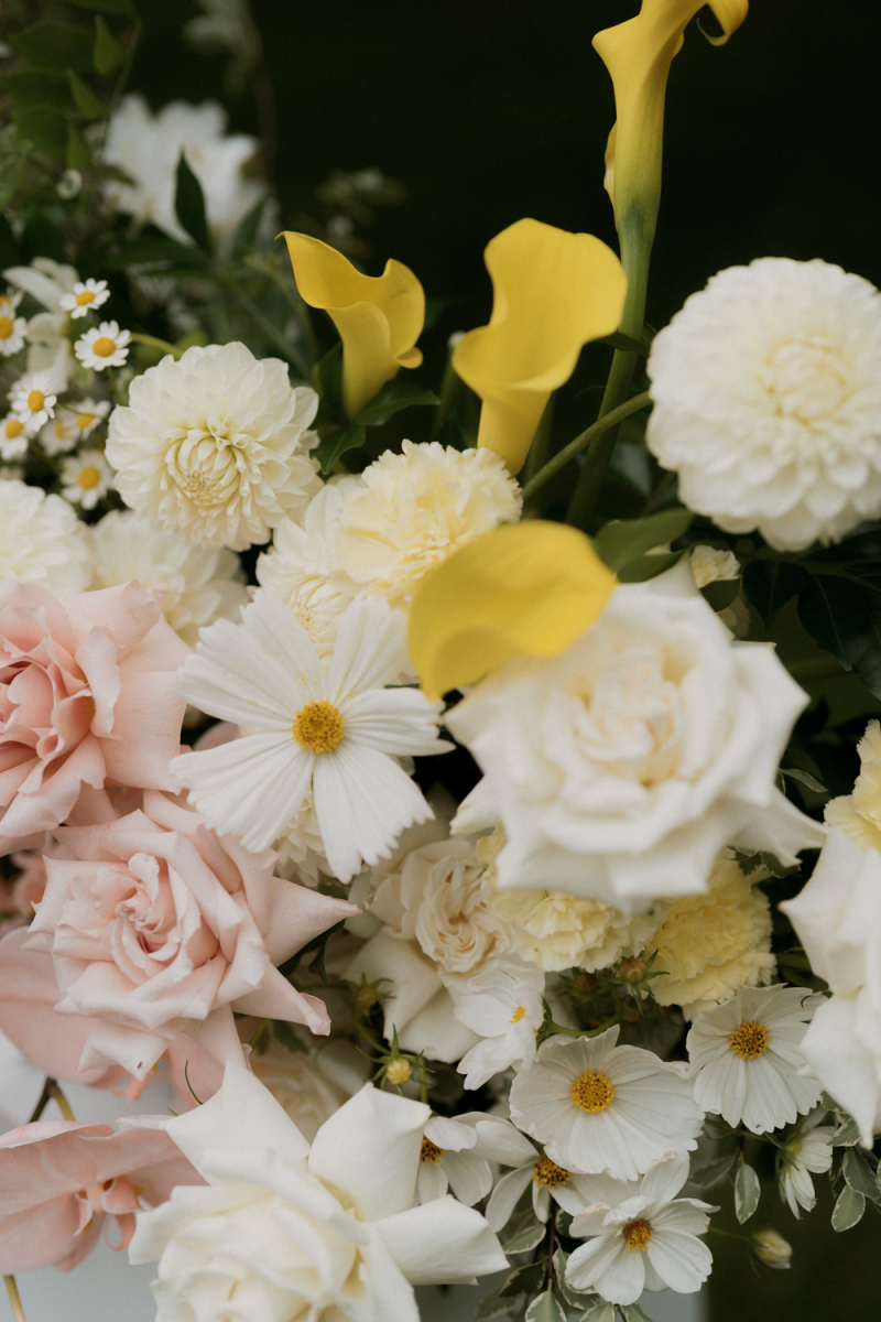 Rebecca and Edward Film Photography Bendooley Estate Book Barn-58