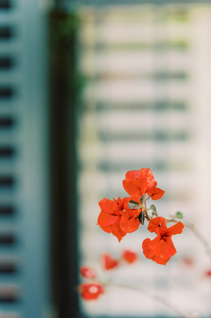 Sabina and Ross Wedding -7