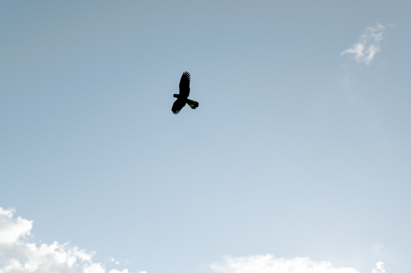 Sally and Jackson Portraits New Small-32