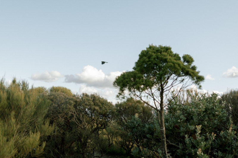 Sally and Jackson Portraits New Small-33