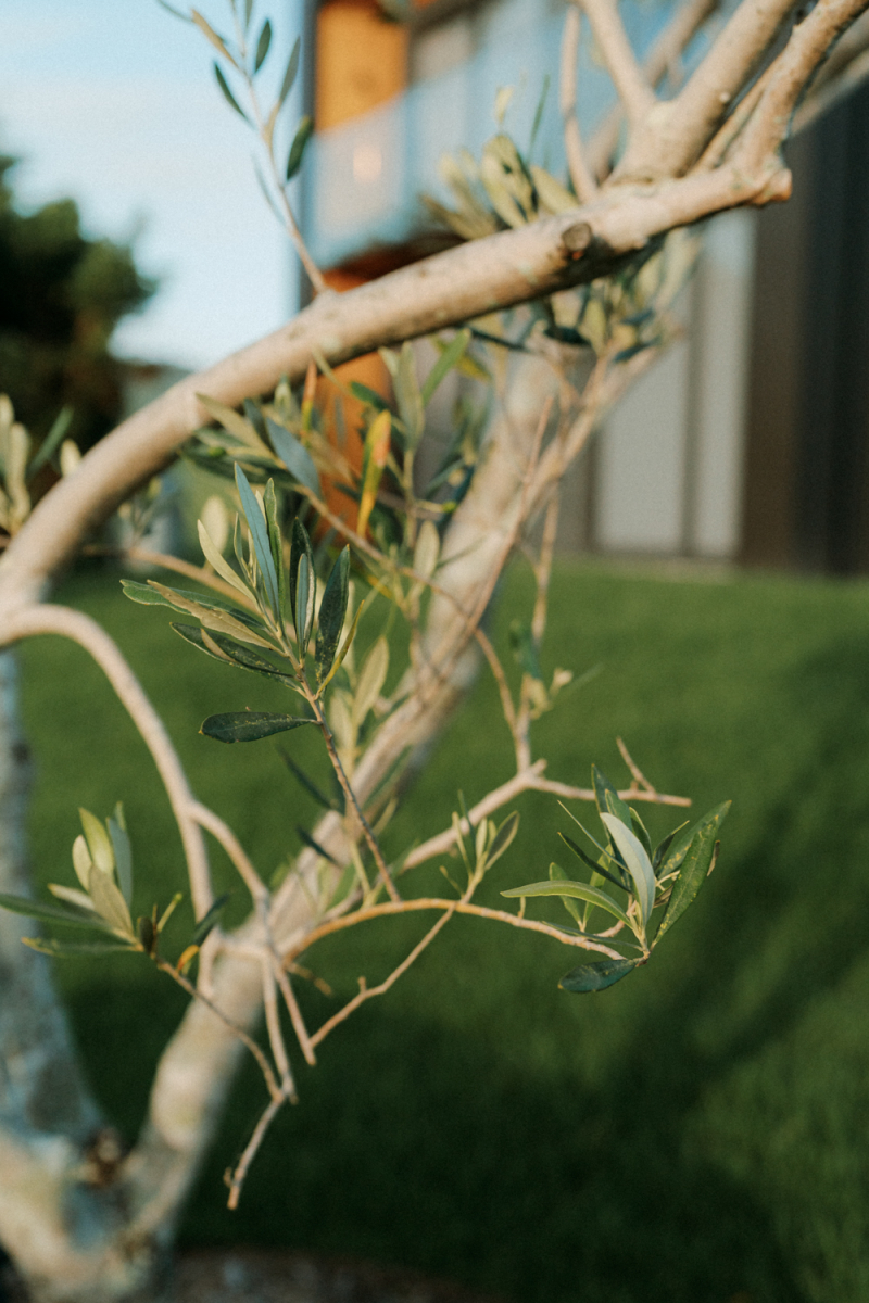 Sam and Ashlee wedding at Seacliff House Gerringong-145