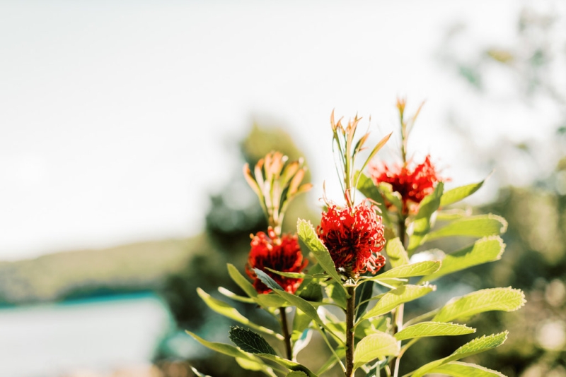 Sarah and Murray Wedding-61