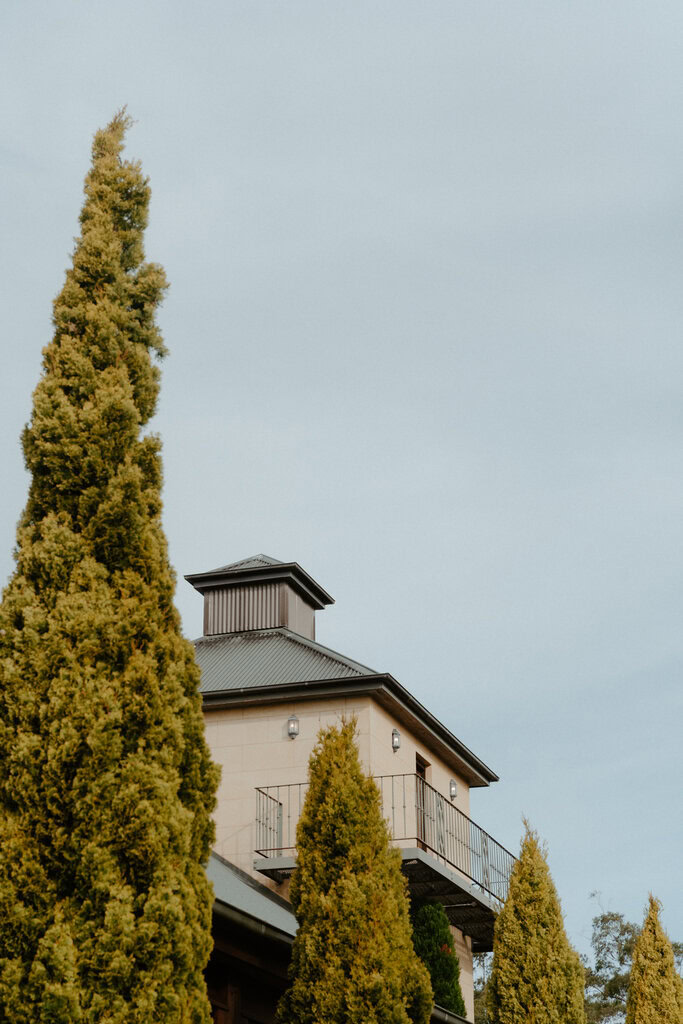 Shehani and Sam Wedding Centennial Vineyards-135