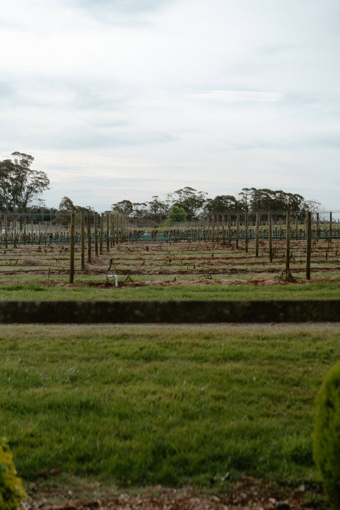 Shehani and Sam Wedding Centennial Vineyards-154