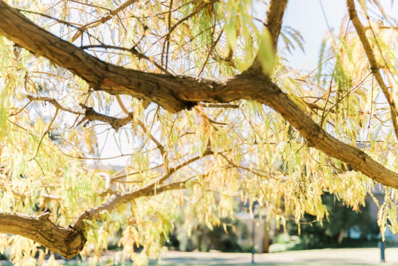 Simone and Joseph Wedding -1