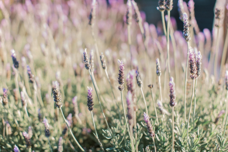 Simone and Joseph Wedding -81