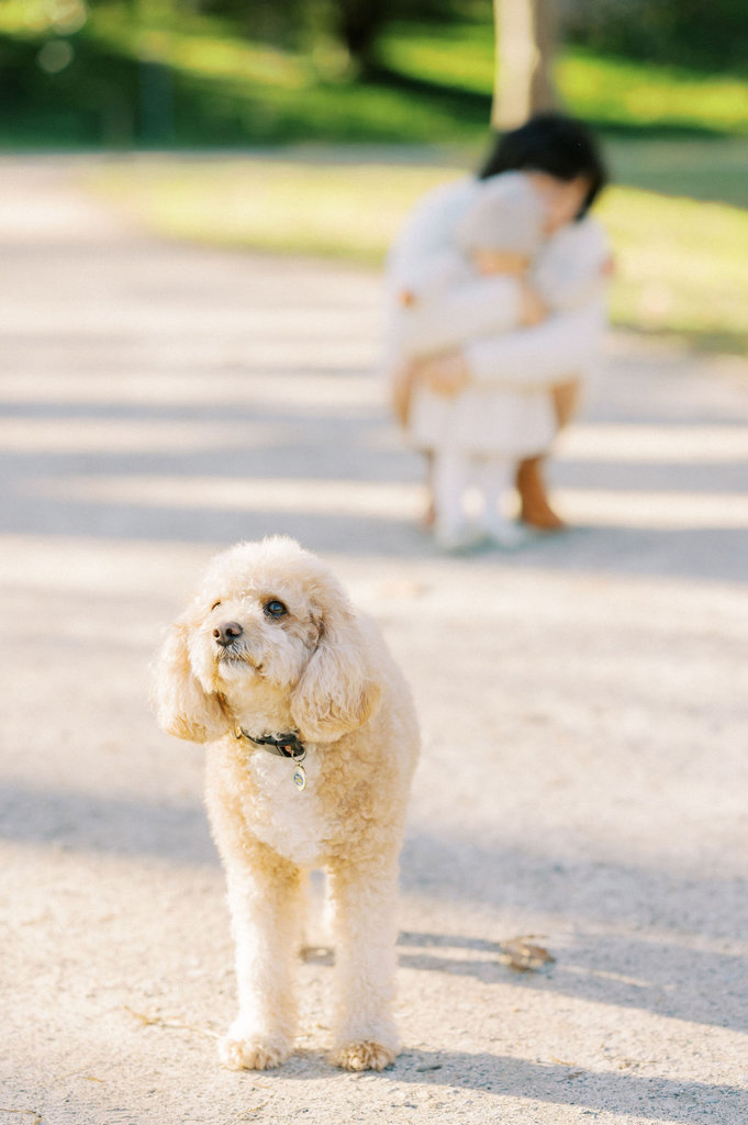 SuiyiVictorElleDaisyFamilyportraits-93