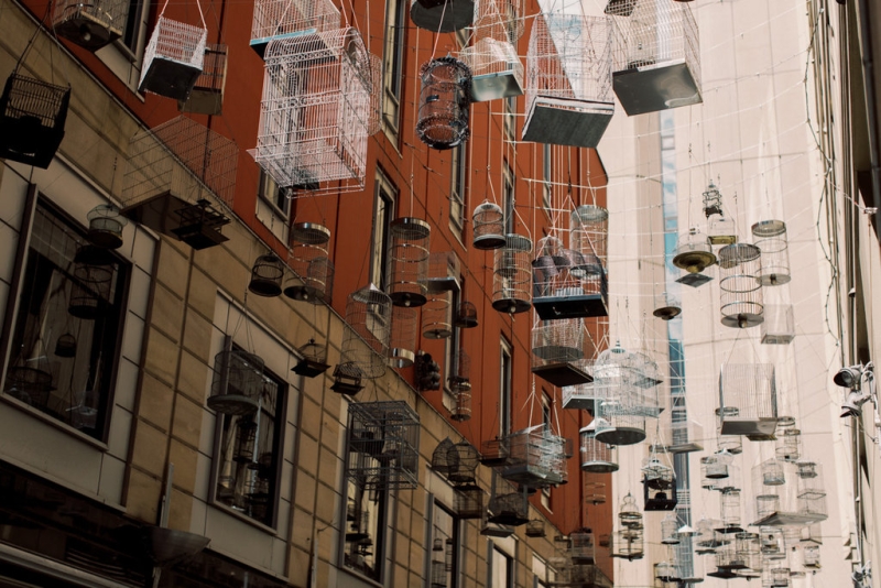 Tina and Paul Pre Wedding-1