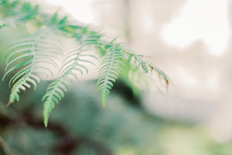 Tina and Paul Pre Wedding-26